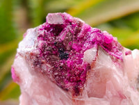 Natural Salrose Cobaltion Dolomite Specimens x 12 From Kakanda, Congo