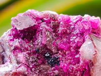 Natural Salrose Cobaltion Dolomite Specimens x 12 From Kakanda, Congo