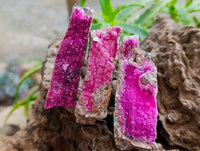 Natural Salrose Cobaltion Dolomite Specimens x 12 From Kakanda, Congo