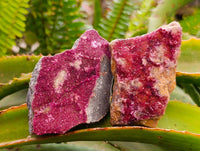 Natural Salrose Cobaltion Dolomite Specimens x 12 From Kakanda, Congo