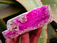 Natural Salrose Cobaltion Dolomite Specimens x 12 From Kakanda, Congo