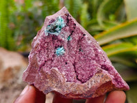 Natural Salrose Cobaltion Dolomite Specimens x 12 From Kakanda, Congo