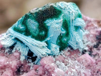 Natural Salrose Cobaltion Dolomite Specimens x 12 From Kakanda, Congo