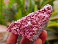 Natural Salrose Cobaltion Dolomite Specimens x 12 From Kakanda, Congo