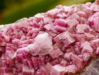 Natural Salrose Cobaltion Dolomite Specimens x 12 From Kakanda, Congo