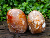 Polished Flower Agate Standing Free Forms x 2 From Antsahalova, Madagascar