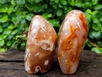 Polished Flower Agate Standing Free Forms x 2 From Antsahalova, Madagascar