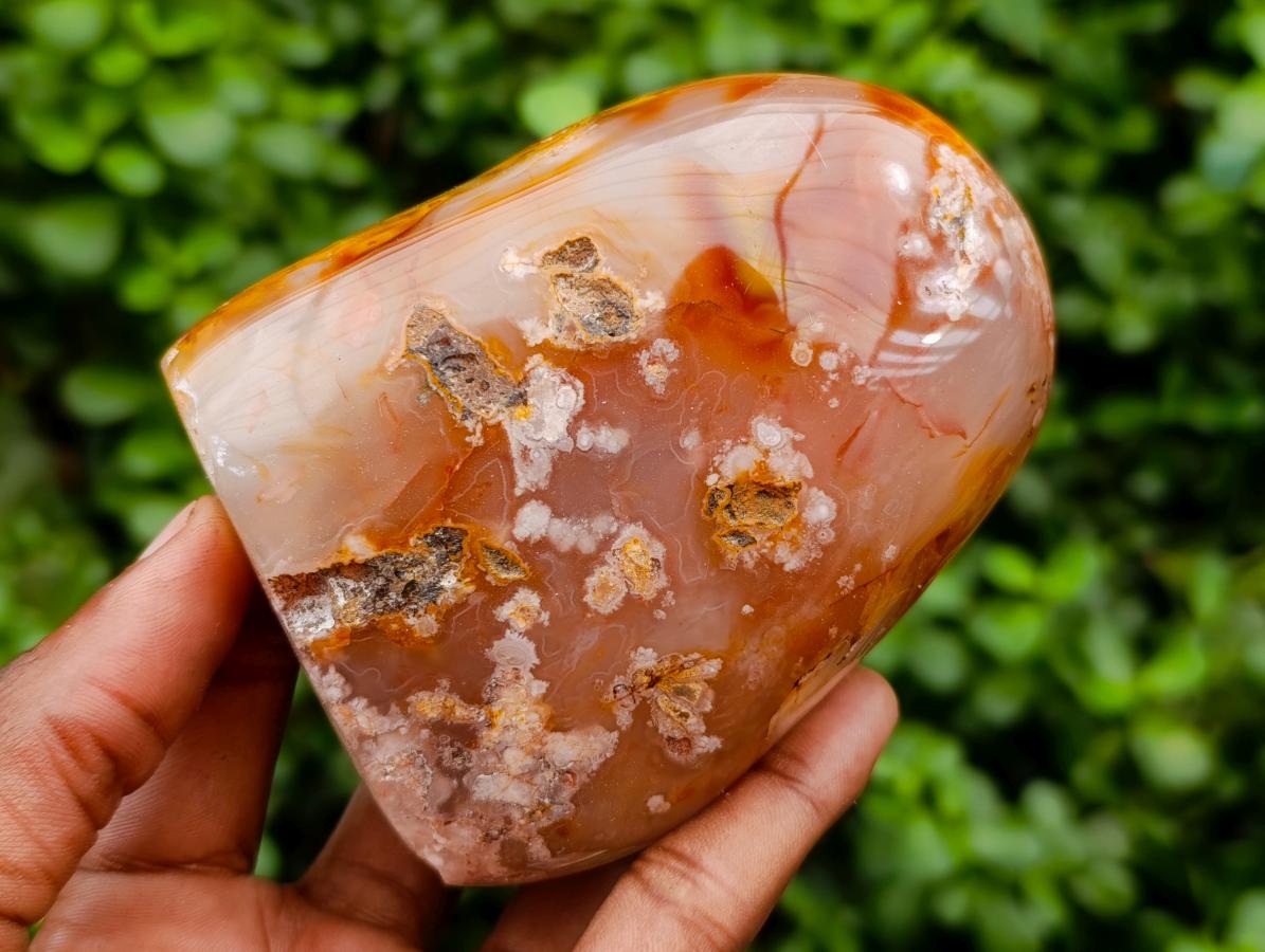 Polished Flower Agate Standing Free Forms x 2 From Antsahalova, Madagascar