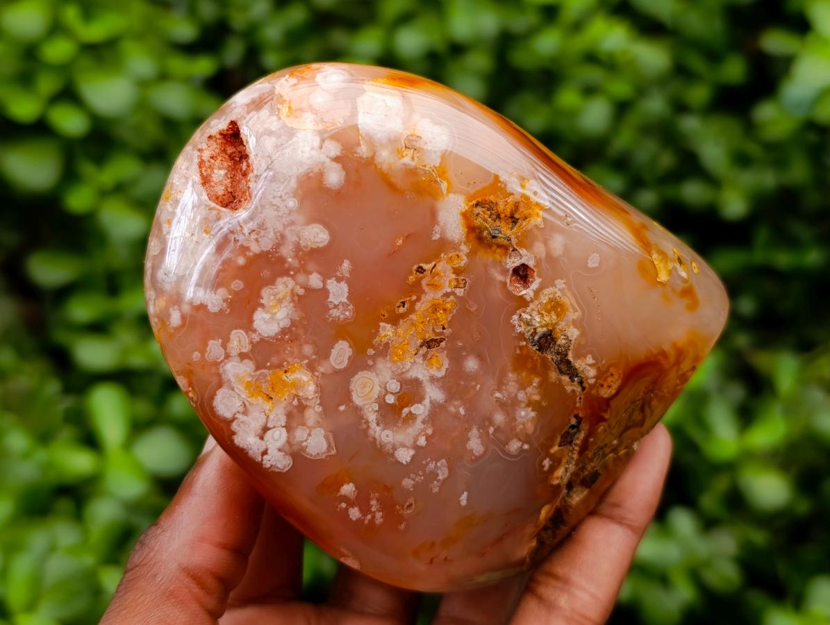Polished Flower Agate Standing Free Forms x 2 From Antsahalova, Madagascar