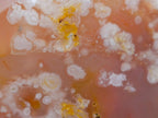 Polished Flower Agate Standing Free Forms x 2 From Antsahalova, Madagascar
