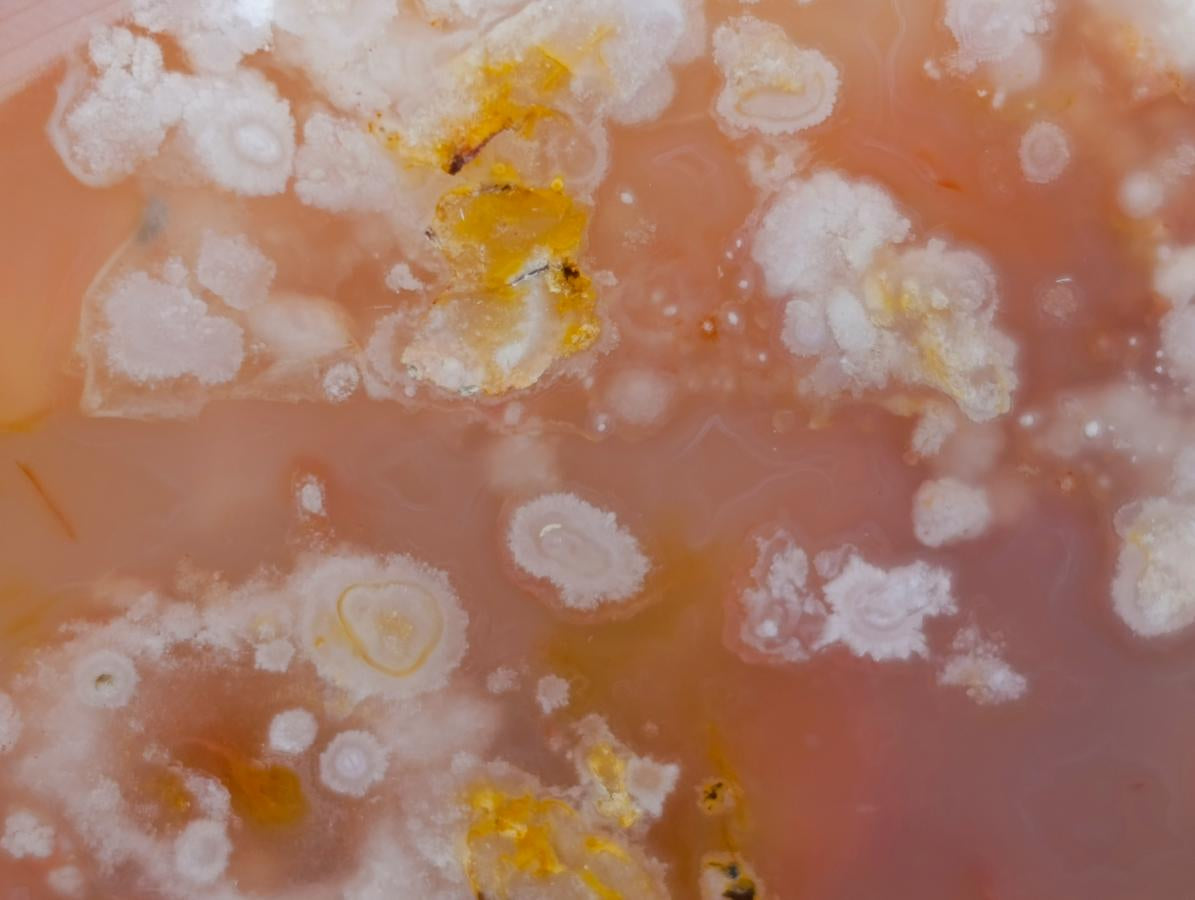 Polished Flower Agate Standing Free Forms x 2 From Antsahalova, Madagascar