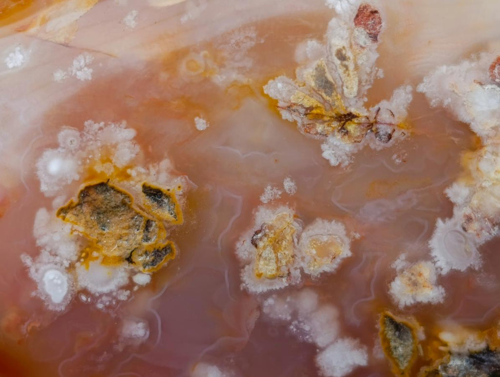 Polished Flower Agate Standing Free Forms x 2 From Antsahalova, Madagascar