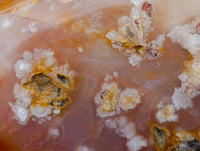 Polished Flower Agate Standing Free Forms x 2 From Antsahalova, Madagascar