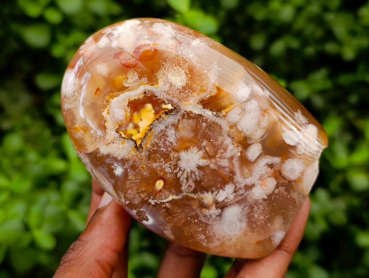 Polished Flower Agate Standing Free Forms x 2 From Antsahalova, Madagascar
