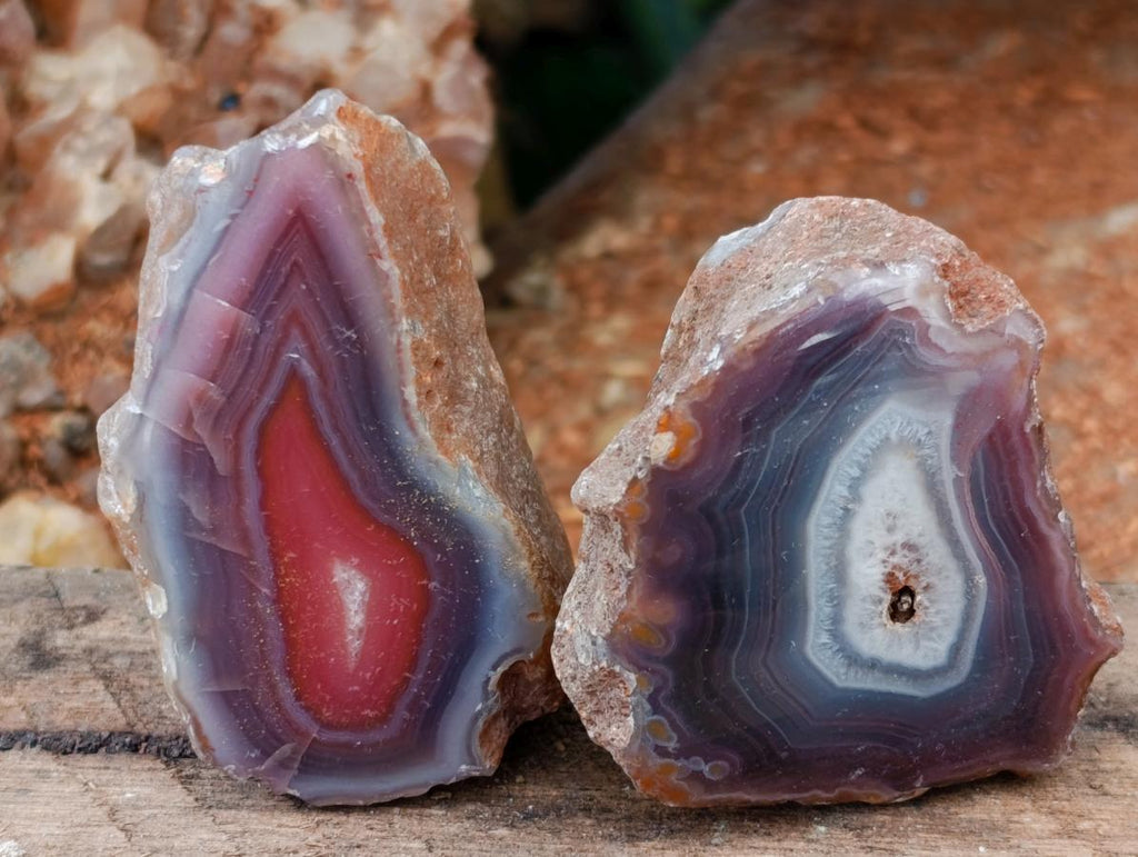 Polished On One Side Red Shashe River Agate Nodules x 24 From Shashe River, Zimbabwe