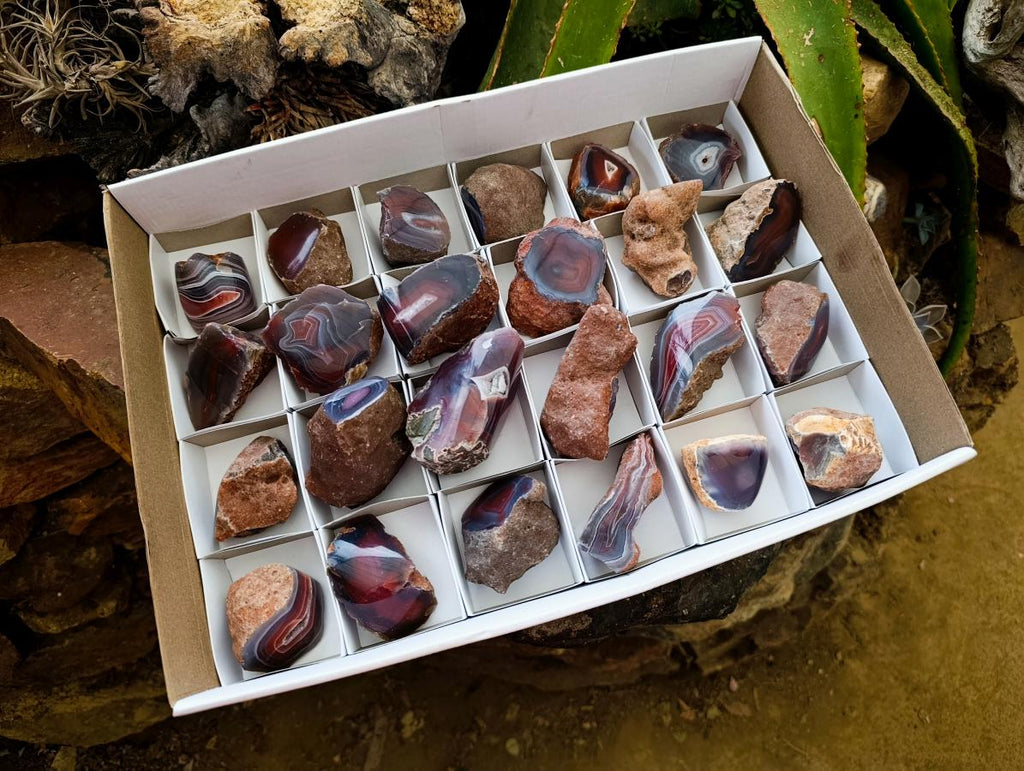 Polished On One Side Red Shashe River Agate Nodules x 24 From Shashe River, Zimbabwe