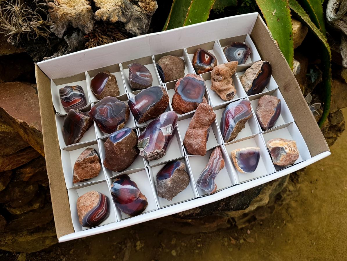 Polished On One Side Red Shashe River Agate Nodules x 24 From Shashe River, Zimbabwe