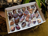 Polished On One Side Red Shashe River Agate Nodules x 24 From Shashe River, Zimbabwe