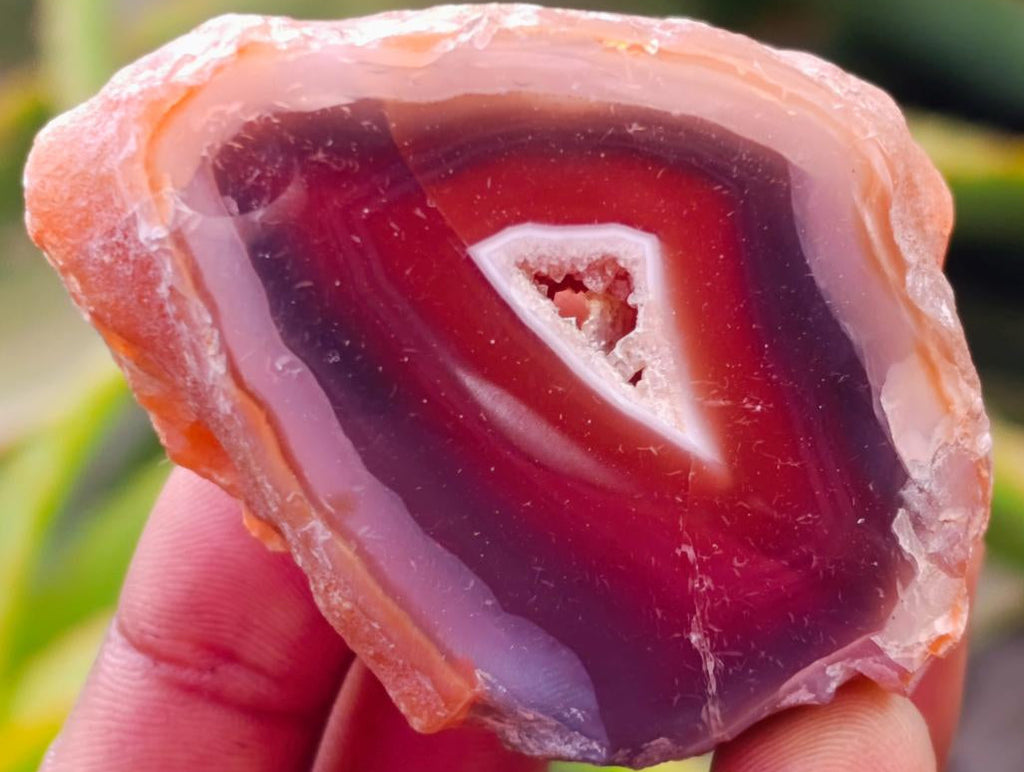 Polished On One Side Red Shashe River Agate Nodules x 24 From Shashe River, Zimbabwe