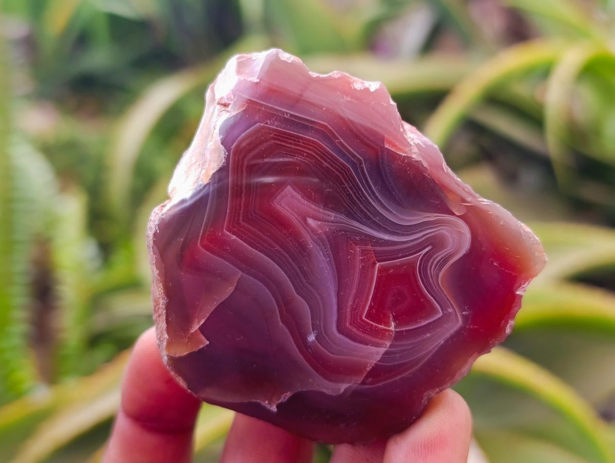 Polished On One Side Red Shashe River Agate Nodules x 24 From Shashe River, Zimbabwe