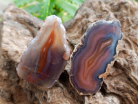 Polished On One Side Red Shashe River Agate Nodules x 24 From Shashe River, Zimbabwe