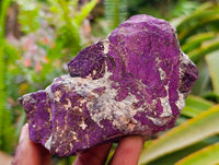 Natural Metallic Cobbed Purpurite Specimens x 10 From Erongo, Namibia