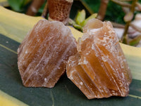 Natural Honey Aragonite Specimens x 35 From Namibia
