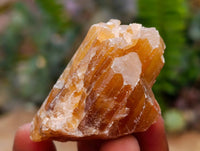 Natural Honey Aragonite Specimens x 35 From Namibia