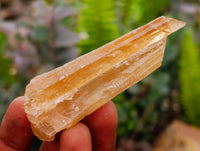 Natural Honey Aragonite Specimens x 35 From Namibia