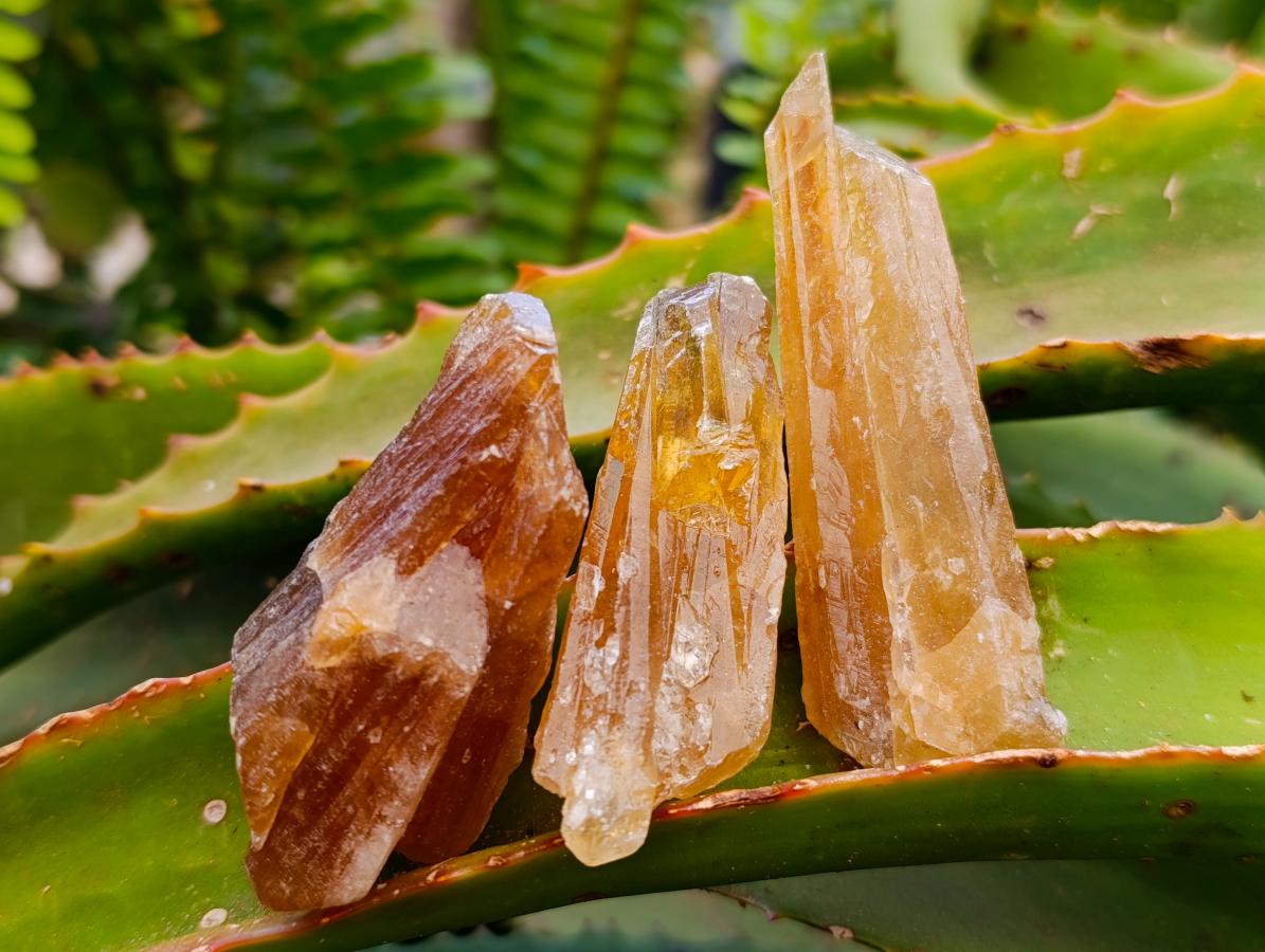 Natural Honey Aragonite Specimens x 35 From Namibia