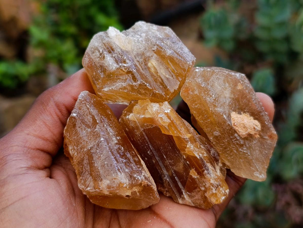 Natural Honey Aragonite Specimens x 35 From Namibia