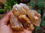 Natural Honey Aragonite Specimens x 35 From Namibia