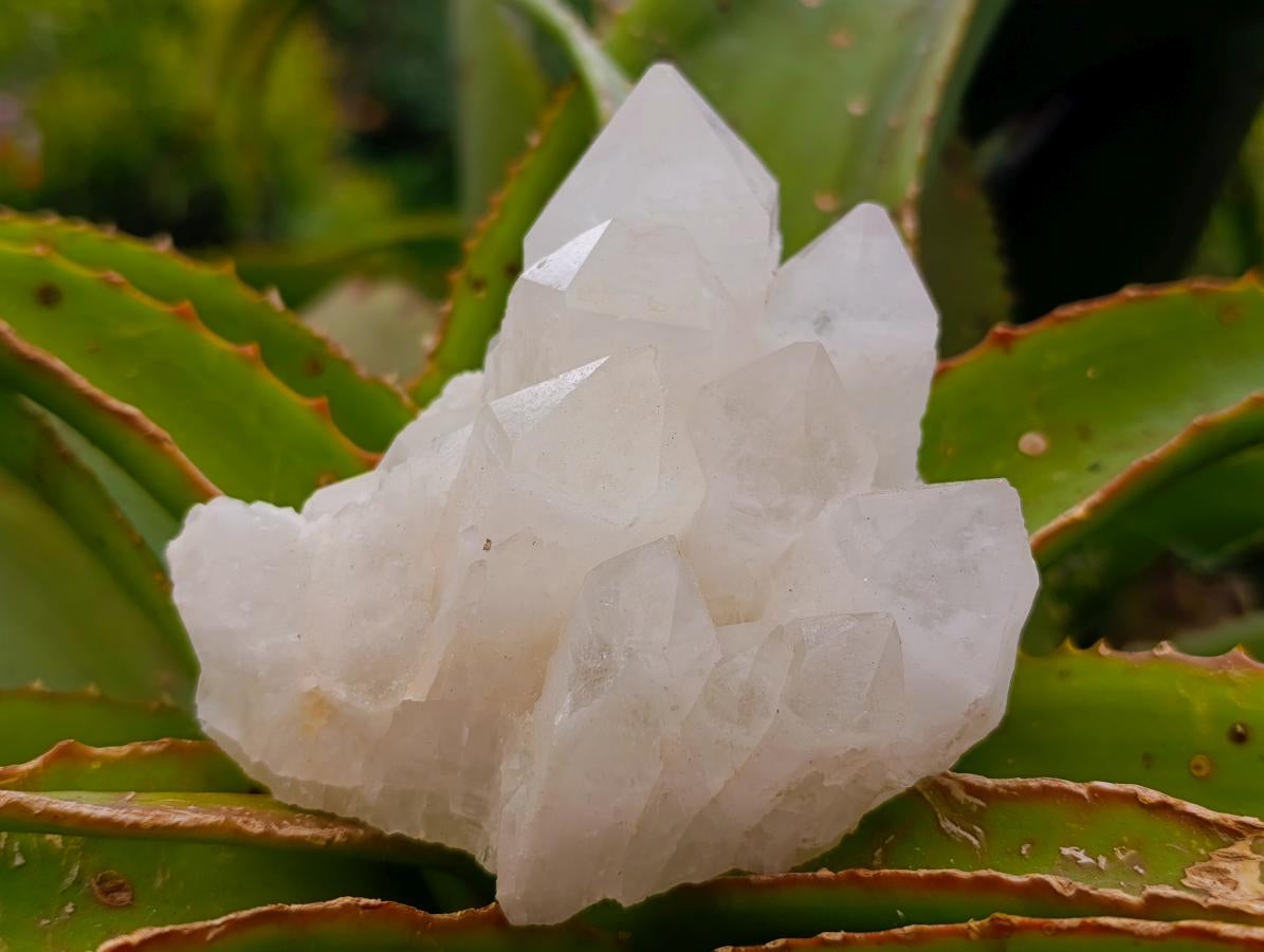 Natural Candle Quartz Clusters x 4 From Antsirabe, Madagascar