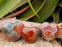 Polished Polychrome Jasper Hearts x 5 From NW Coast, Madagascar