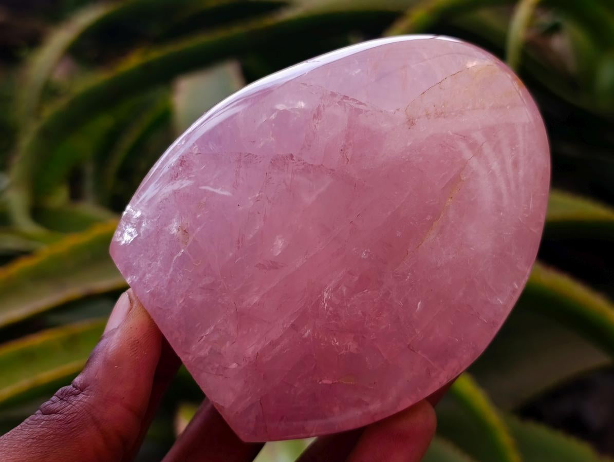 Polished Rose Quartz Standing Free Forms x 4 From Madagascar