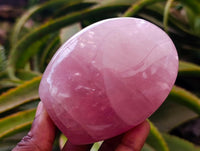 Polished Rose Quartz Standing Free Forms x 4 From Madagascar