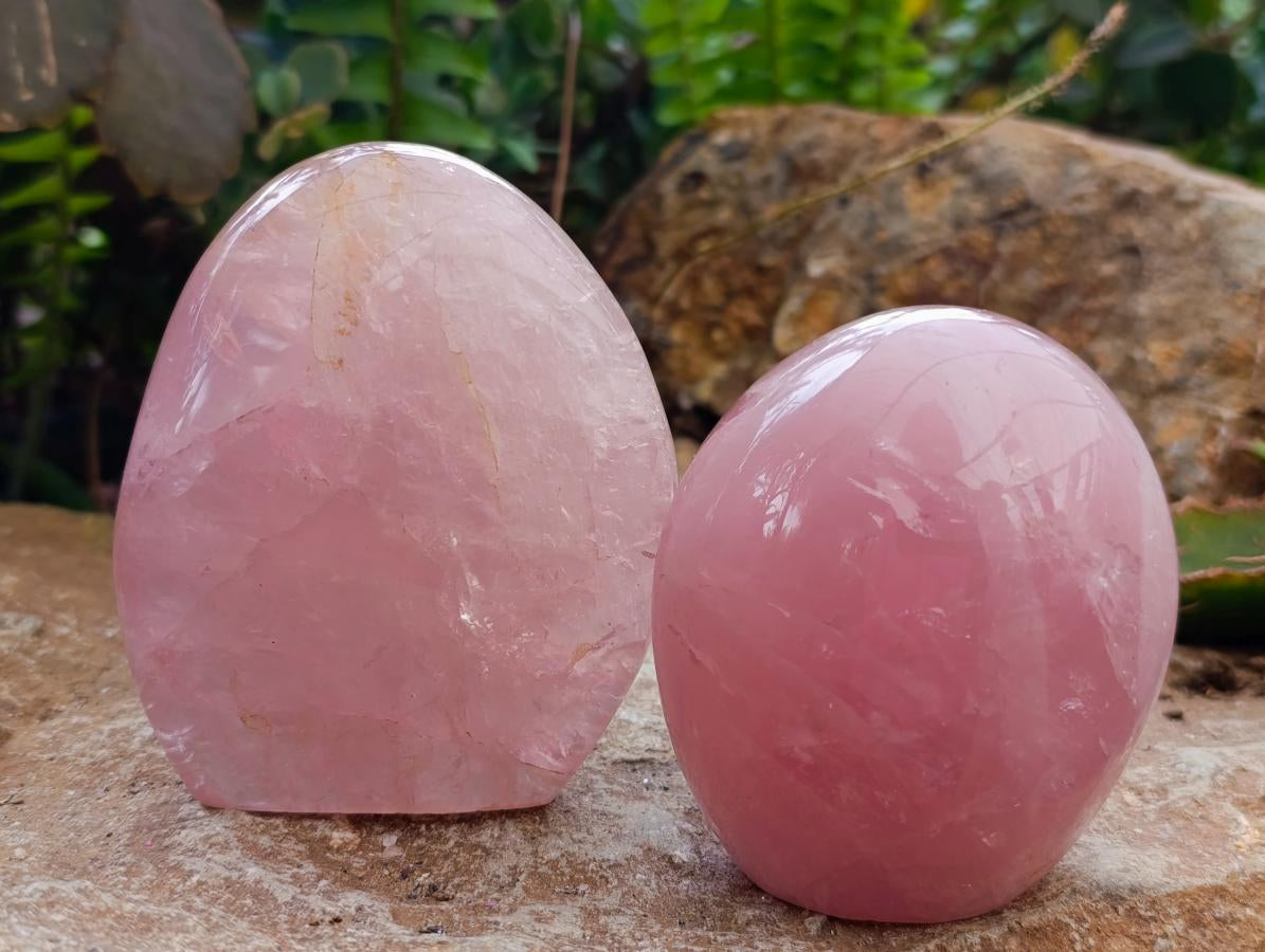 Polished Rose Quartz Standing Free Forms x 4 From Madagascar