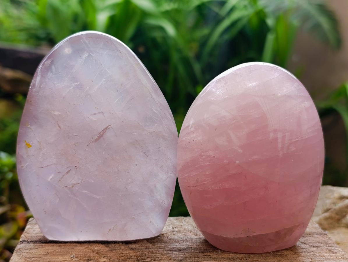 Polished Rose Quartz Standing Free Forms x 4 From Madagascar