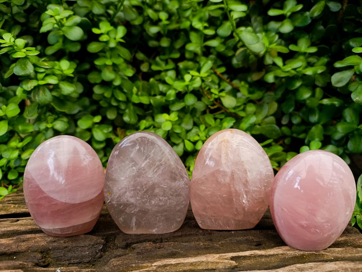 Polished Rose Quartz Standing Free Forms x 4 From Madagascar