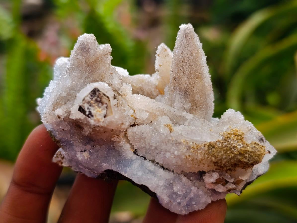 Natural Drusy Snow Finger Quartz Coated Clusters x 12 From Albert's Mountain, Lesotho