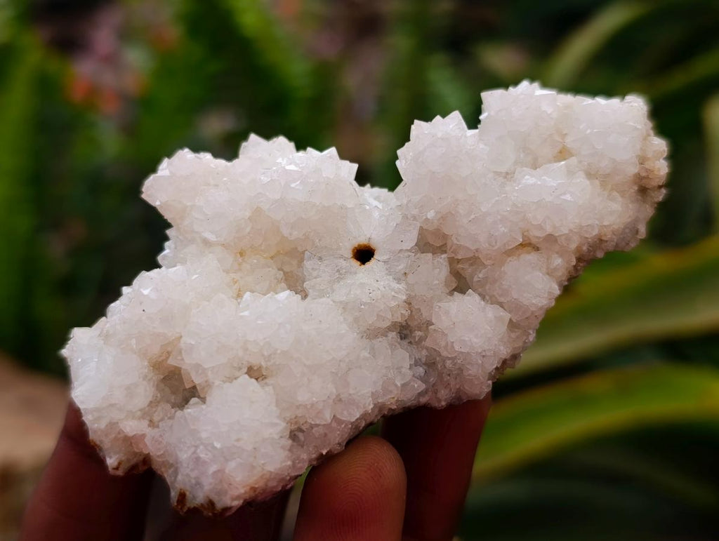 Natural Drusy Snow Finger Quartz Coated Clusters x 12 From Albert's Mountain, Lesotho
