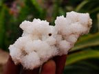 Natural Drusy Snow Finger Quartz Coated Clusters x 12 From Albert's Mountain, Lesotho