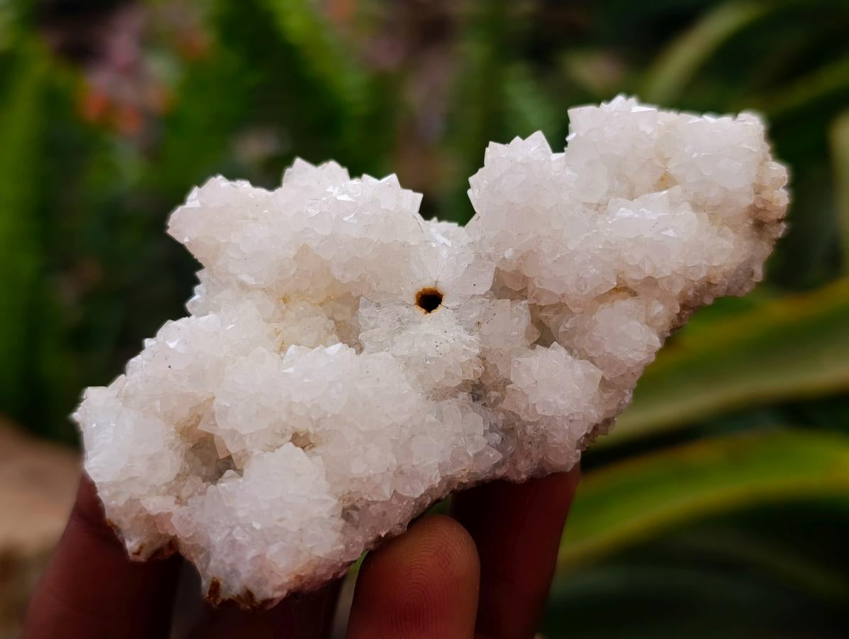 Natural Drusy Snow Finger Quartz Coated Clusters x 12 From Albert's Mountain, Lesotho