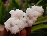 Natural Drusy Snow Finger Quartz Coated Clusters x 12 From Albert's Mountain, Lesotho