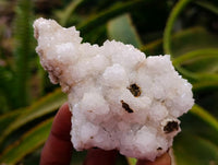 Natural Drusy Snow Finger Quartz Coated Clusters x 12 From Albert's Mountain, Lesotho