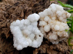 Natural Drusy Snow Finger Quartz Coated Clusters x 12 From Albert's Mountain, Lesotho