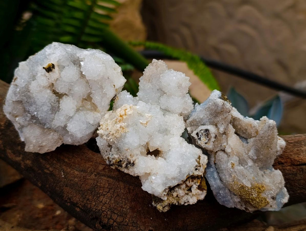 Natural Drusy Snow Finger Quartz Coated Clusters x 12 From Albert's Mountain, Lesotho