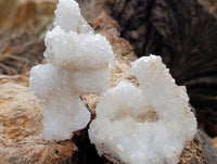 Natural Drusy Snow Finger Quartz Coated Clusters x 12 From Albert's Mountain, Lesotho