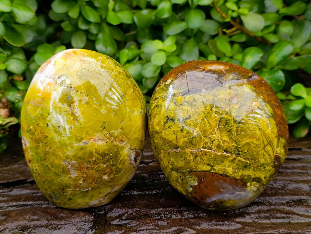 Polished Green Opal Standing Free Forms x 2 From Betroka, Madagascar