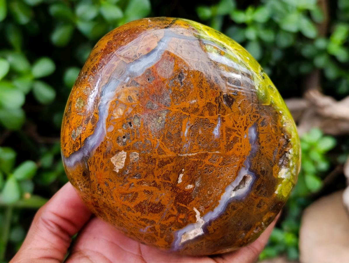 Polished Green Opal Standing Free Forms x 2 From Betroka, Madagascar